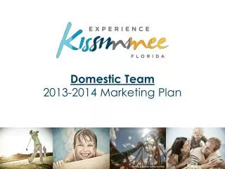 Domestic Team 2013-2014 Marketing Plan
