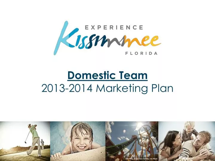 domestic team 2013 2014 marketing plan