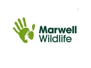 Marwell Wildlife Safety Statement