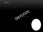 The Impact of GM Foods on Health and Environment - slide 1