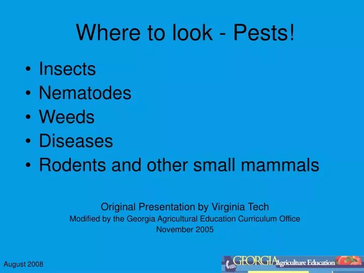 where to look pests