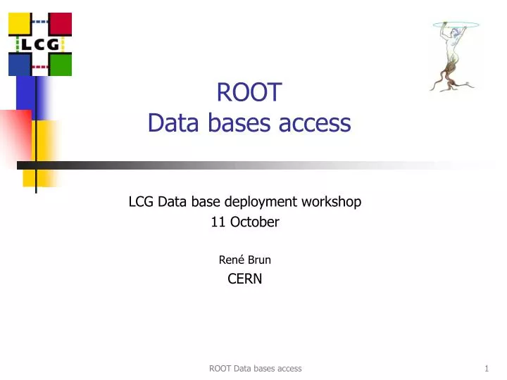 root data bases access