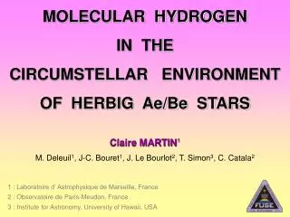 MOLECULAR HYDROGEN IN THE CIRCUMSTELLAR ENVIRONMENT OF HERBIG Ae/Be STARS
