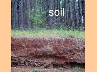 soil