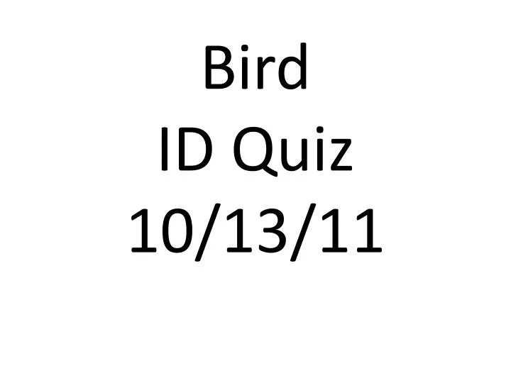 bird id quiz 10 13 11