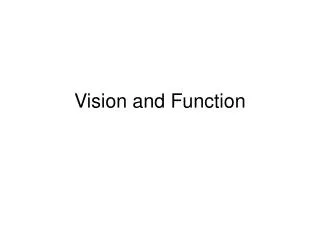 Vision and Function