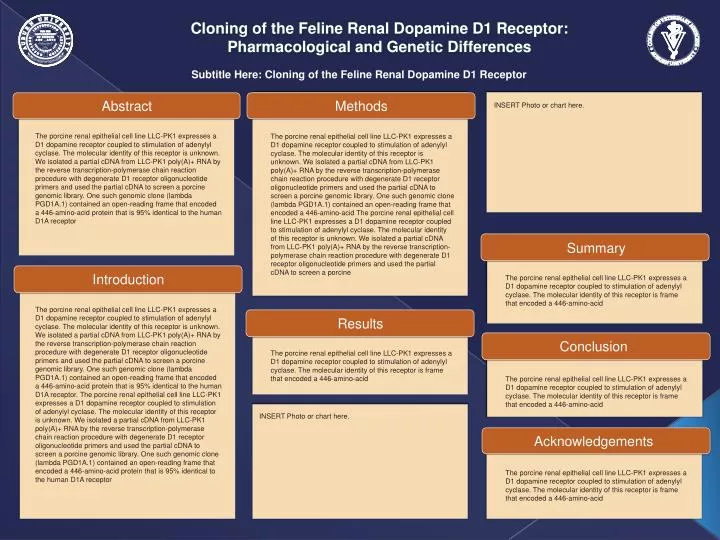cloning of the feline renal dopamine d1 receptor pharmacological and genetic differences