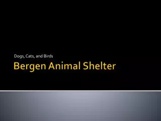 Bergen Animal Shelter