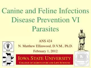 Canine and Feline Infections Disease Prevention VI Parasites