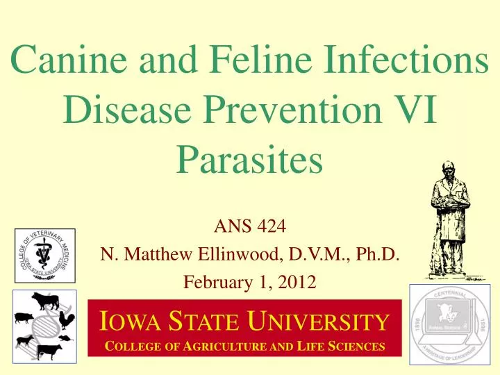 canine and feline infections disease prevention vi parasites