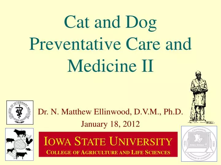 cat and dog preventative care and medicine ii