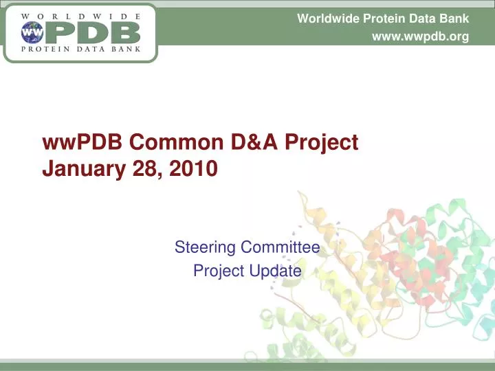 wwpdb common d a project january 28 2010