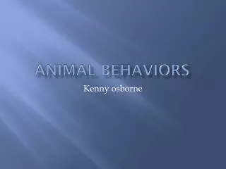 Animal behaviors