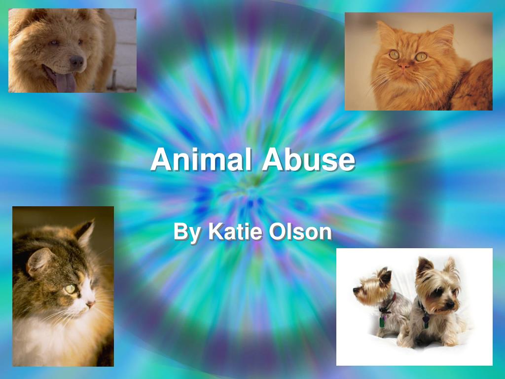 PPT - Understanding Animal Abuse: Causes and Consequences PowerPoint ...