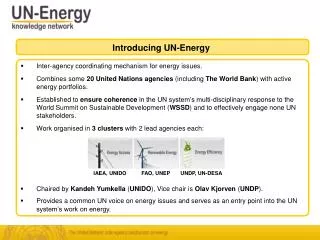 Inter-agency coordinating mechanism for energy issues.