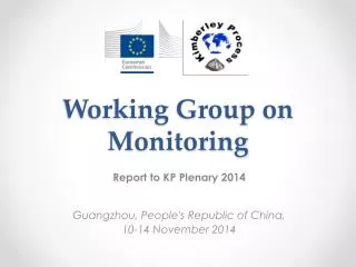 Working Group on Monitoring