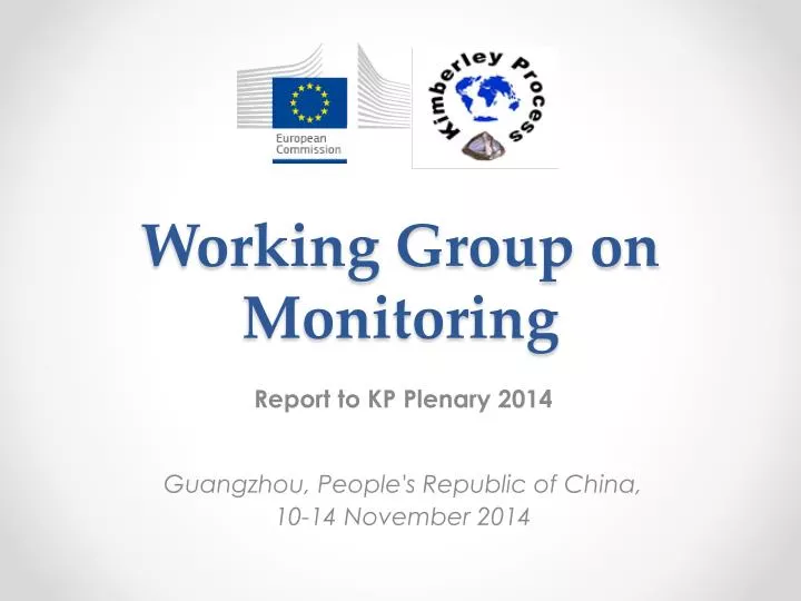 working group on monitoring