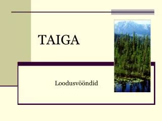 taiga