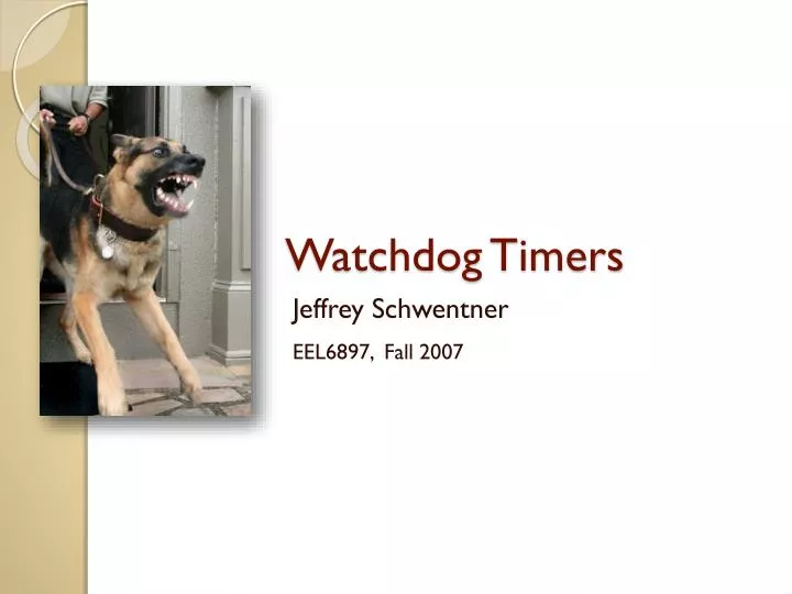 watchdog timers