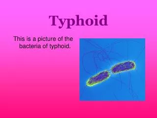 Typhoid