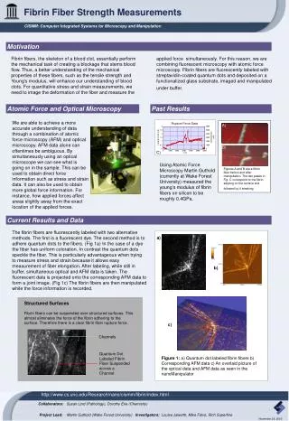 Rupture Force Data