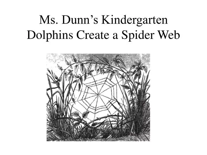 ms dunn s kindergarten dolphins create a spider web