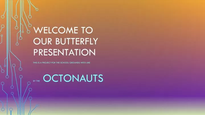 welcome to our butterfly presentation