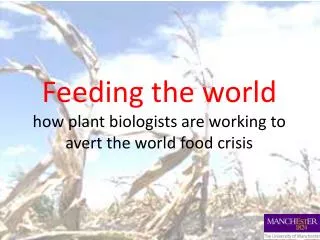Feeding the world how plant biologists are working to avert the world food crisis