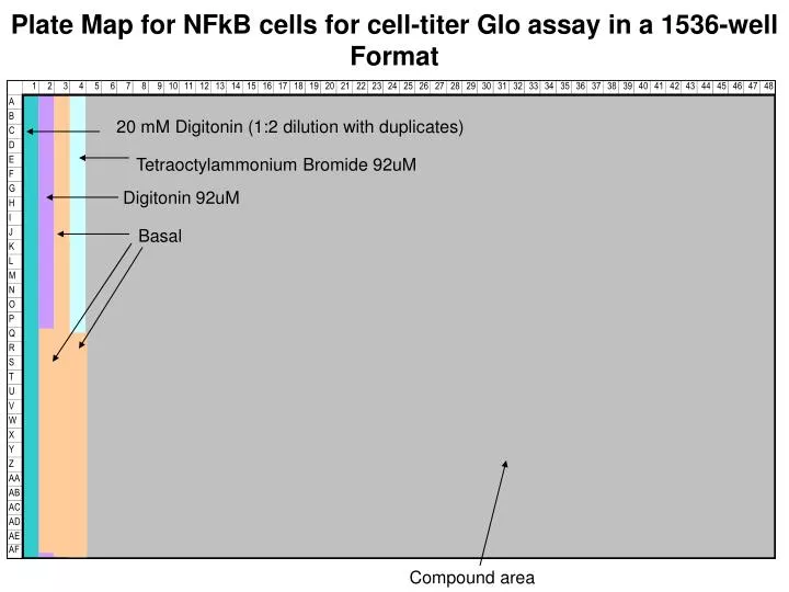 plate map for nfkb cells for cell titer glo assay in a 1536 well format