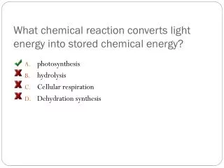 What chemical reaction converts light energy into stored chemical energy?