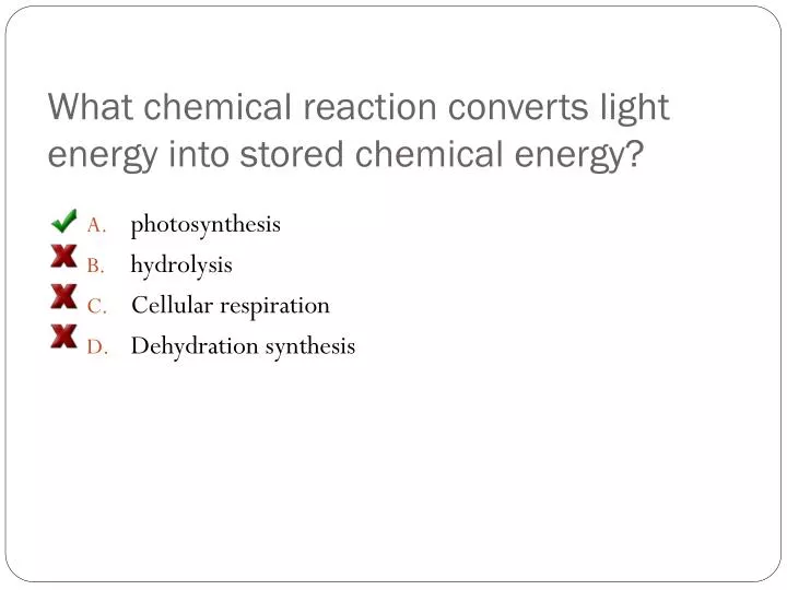 what chemical reaction converts light energy into stored chemical energy