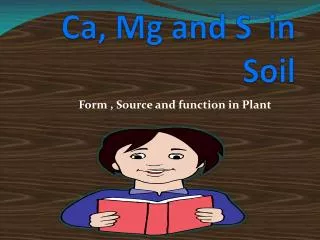 Ca, Mg and S in Soil