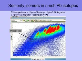 Seniority isomers in n-rich Pb isotopes