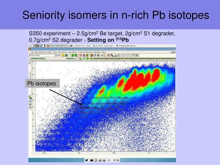 seniority isomers in n rich pb isotopes