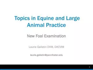 Topics in Equine and Large Animal Practice