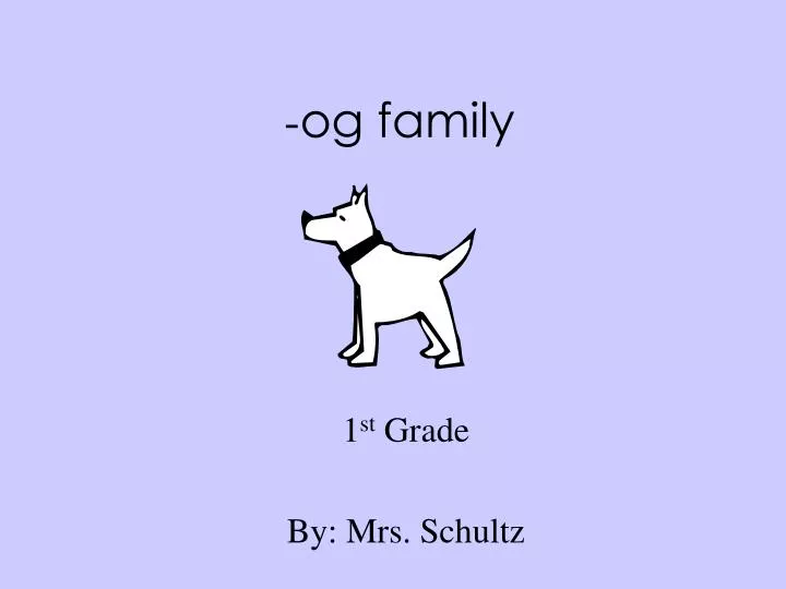 1 st grade by mrs schultz