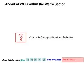 Ahead of WCB within the Warm Sector