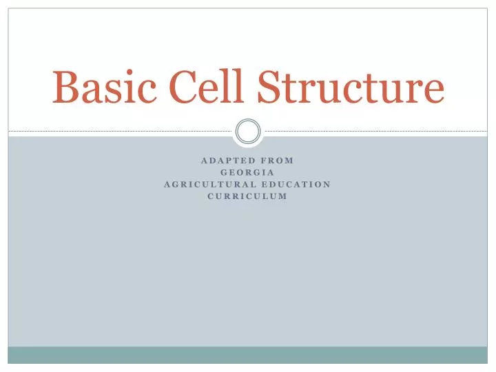 basic cell structure