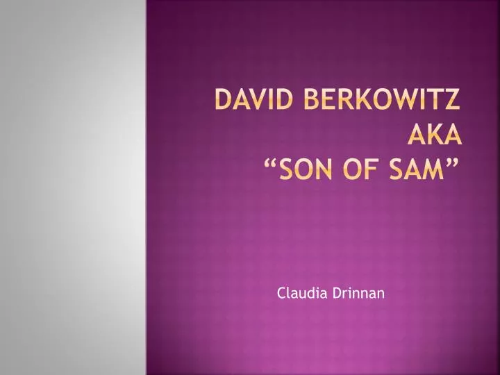 david berkowitz aka son of sam