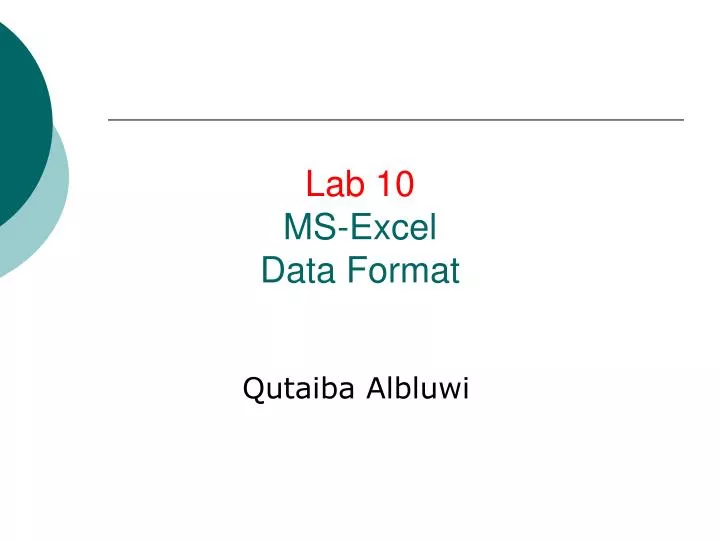 lab 10 ms excel data format
