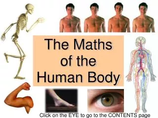 The Maths of the Human Body