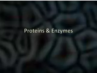 Proteins &amp; Enzymes