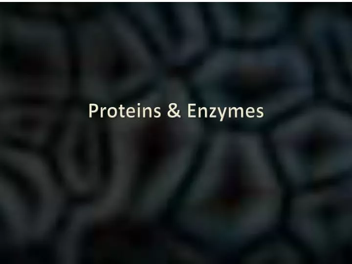 proteins enzymes