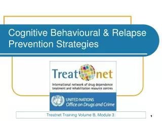 Cognitive Behavioural &amp; Relapse Prevention Strategies
