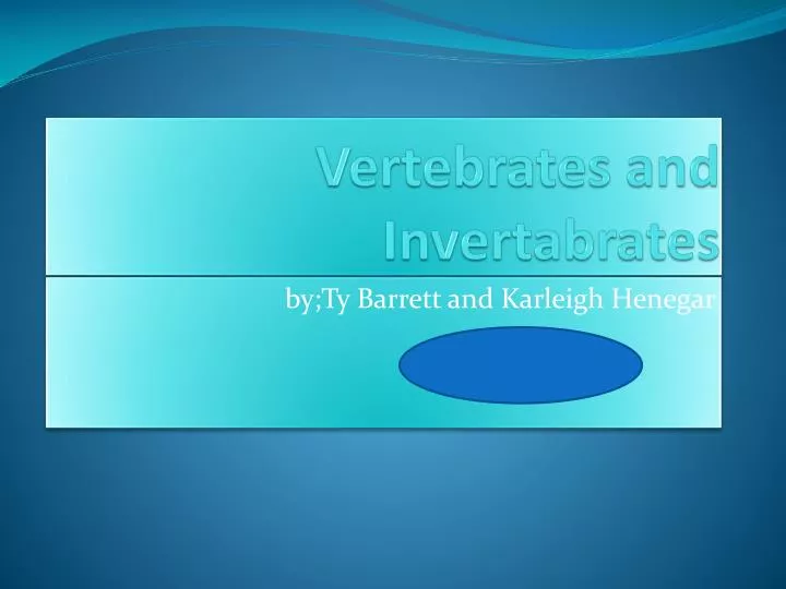 vertebrates and invertabrates