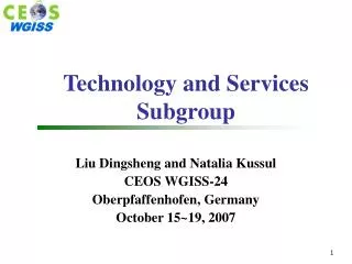 Technology and Services Subgroup