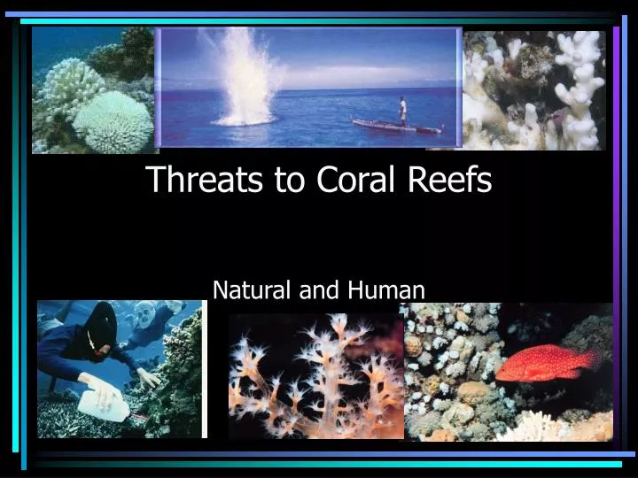 threats to coral reefs