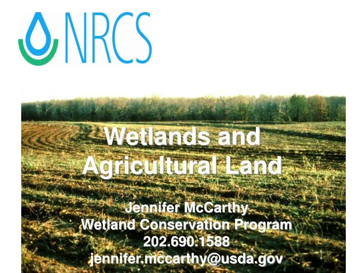 wetlands and agricultural land