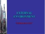 External Environment - slide 1