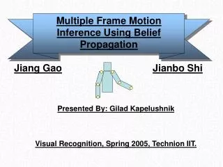 Multiple Frame Motion Inference Using Belief Propagation
